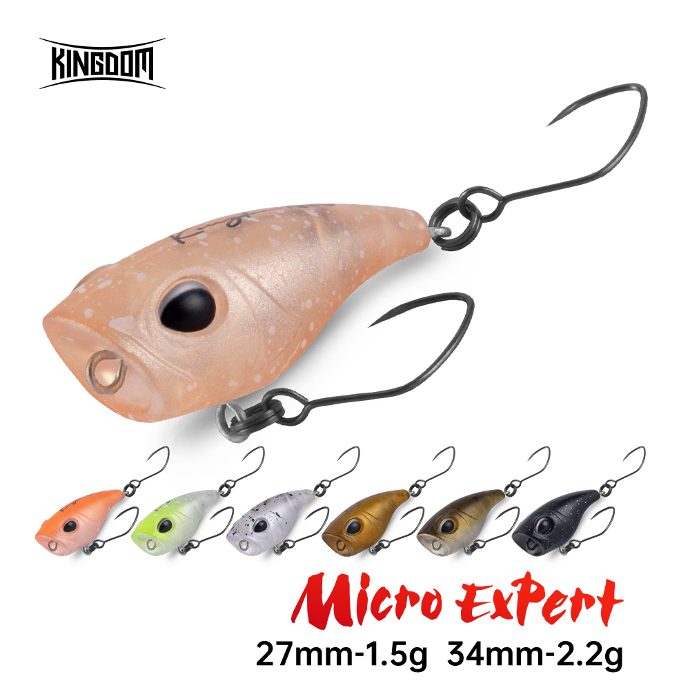 キングダムマイクロエキスパートトップウォーターポッパー 1. - Fishing Lure Popper のレビューと価格
